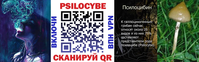 магазин продажи   даркнет формула  Псилоцибиновые грибы Psilocybe  Кубинка 